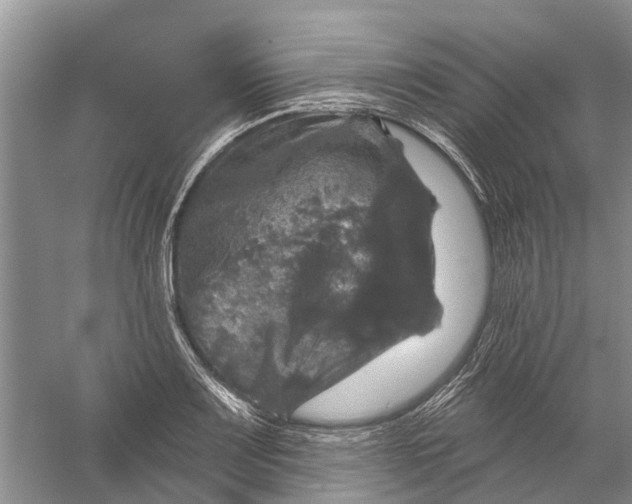 X0000056331083200509232006