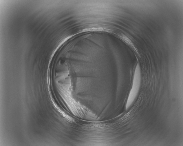 X0000056331084200509232006