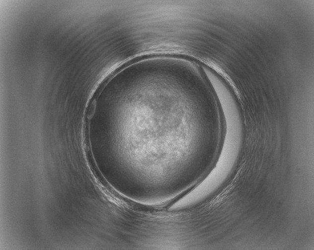 X0000056331085200509232006