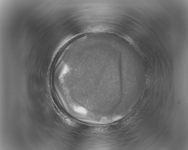 X0000056331086200509232006