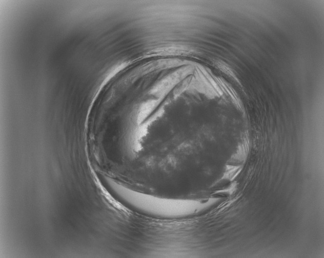 X0000056331087200509232006