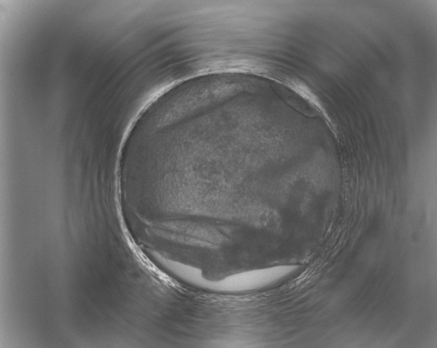 X0000056331088200509232006