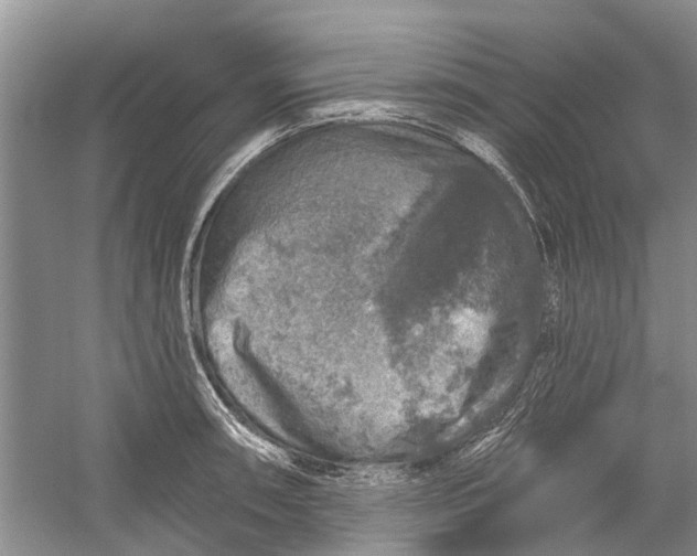 X0000056331090200509232006