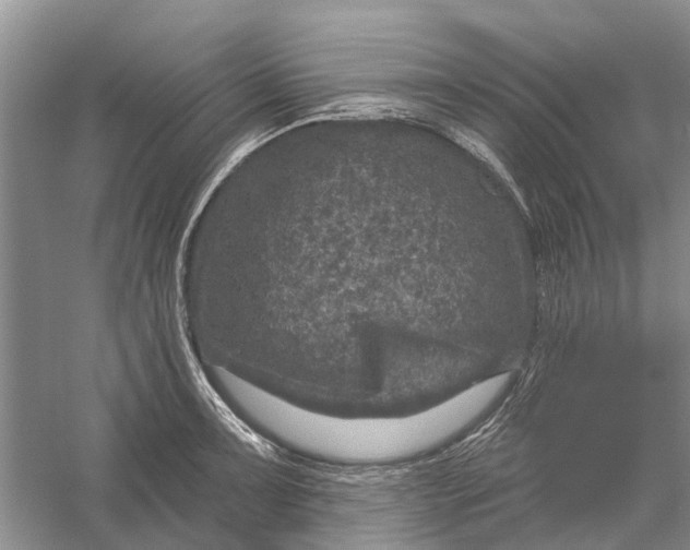 X0000056331091200509232006