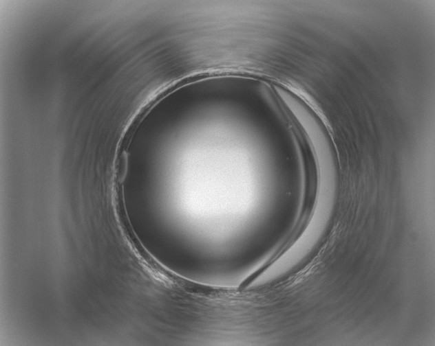 X0000056331093200509232006