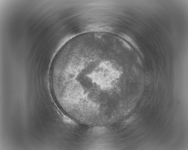 X0000056331094200509232006