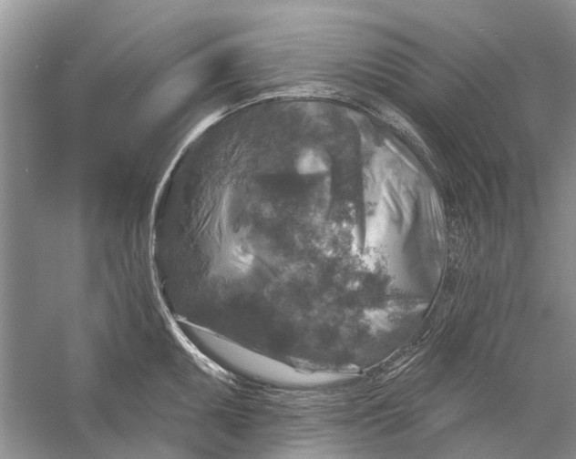 X0000056331095200509232006