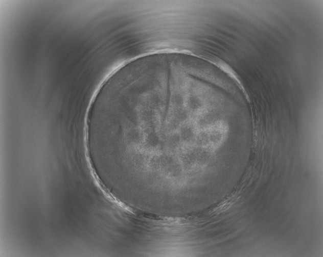 X0000056331096200509232006