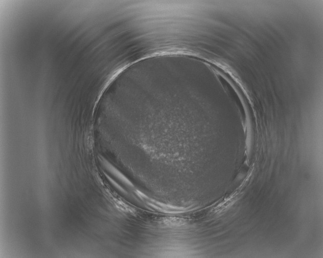 X0000056331097200509232006