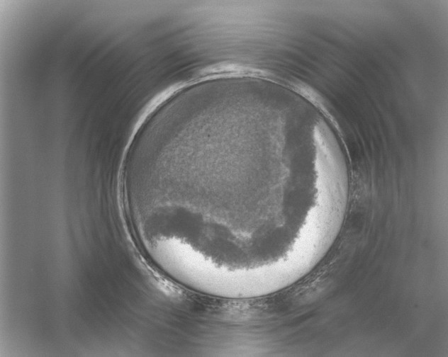 X0000056331098200509232006