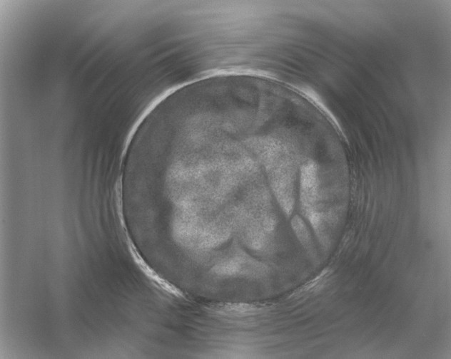 X0000056331100200509232006