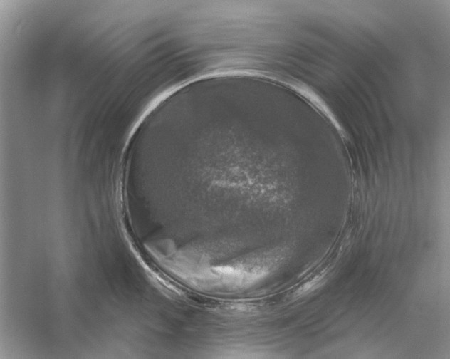 X0000056331101200509232006