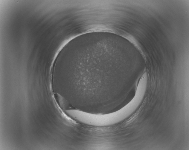 X0000056331102200509232006