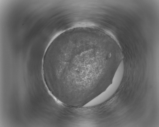 X0000056331103200509232006