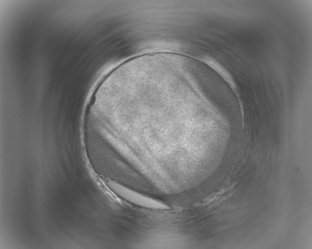 X0000056331104200509232006