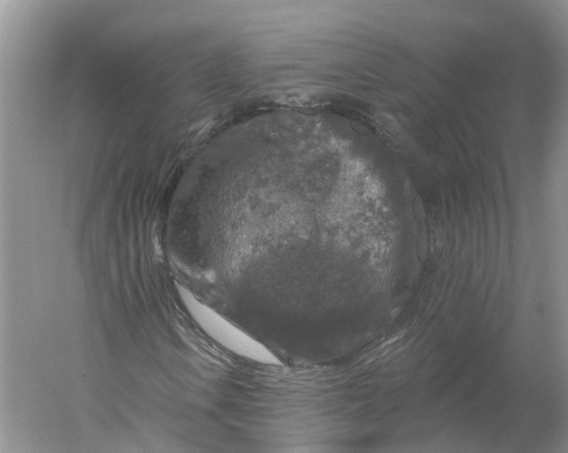 X0000056331106200509232005