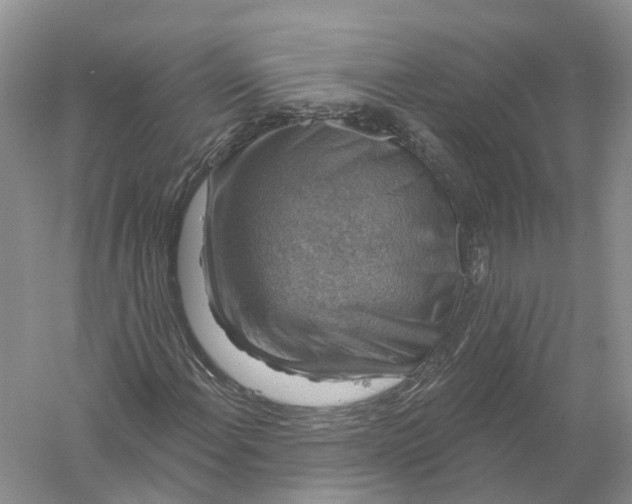 X0000056331108200509232005