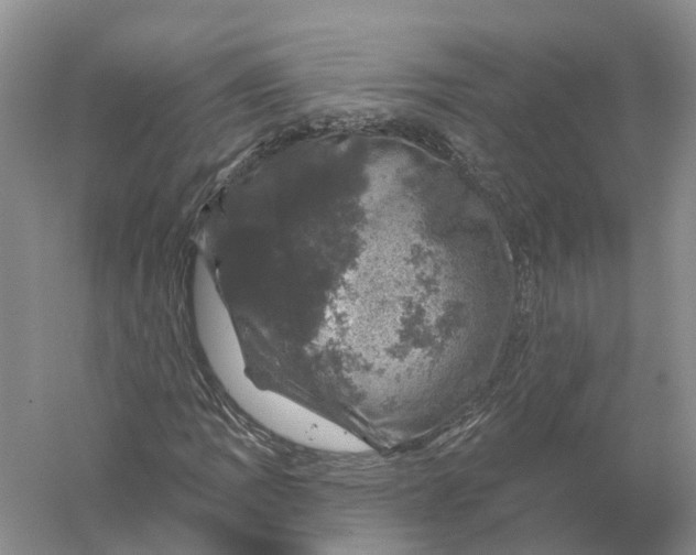 X0000056331109200509232005