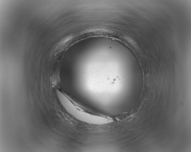 X0000056331111200509232005