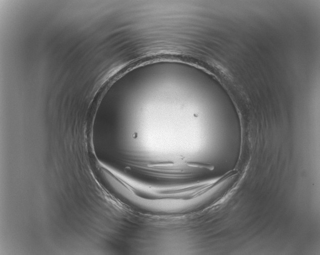 X0000056331113200509232005