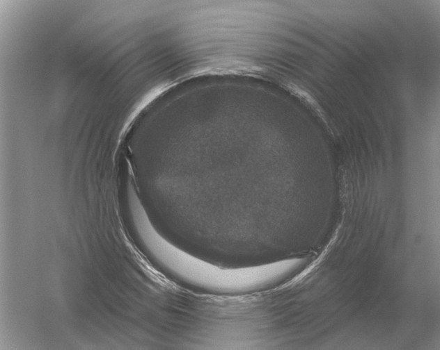 X0000056331114200509232005