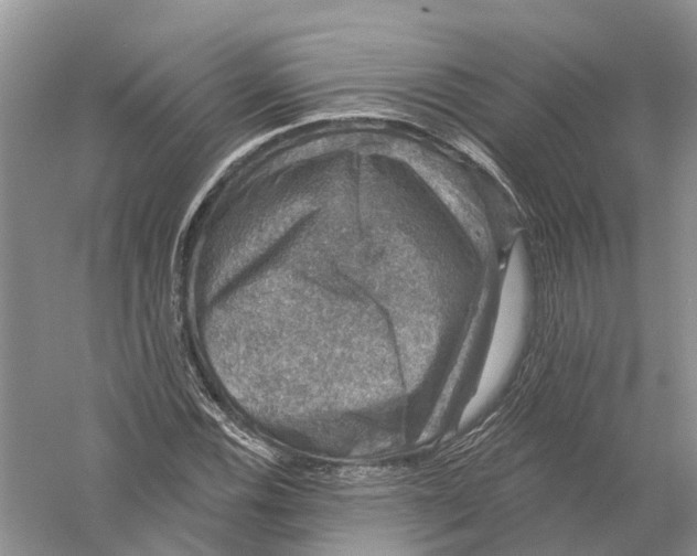 X0000056331116200509232005