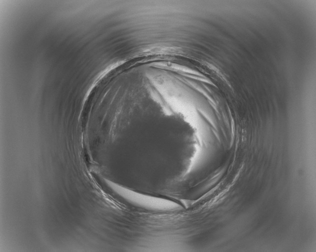 X0000056331117200509232005