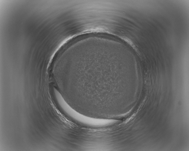 X0000056331118200509232005