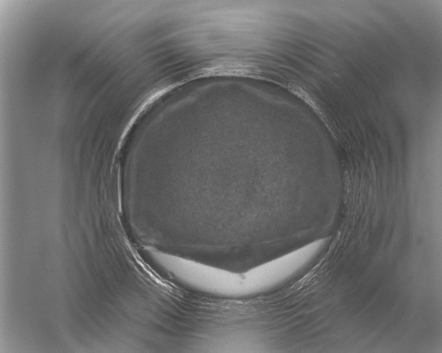 X0000056331123200509232006