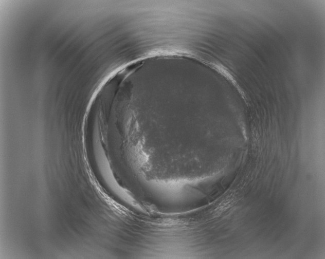 X0000056331124200509232006