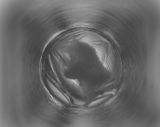 X0000056331125200509232006