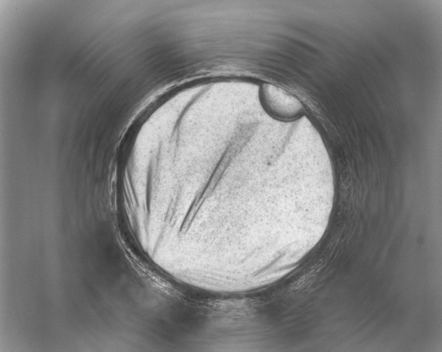 X0000056331126200509232006