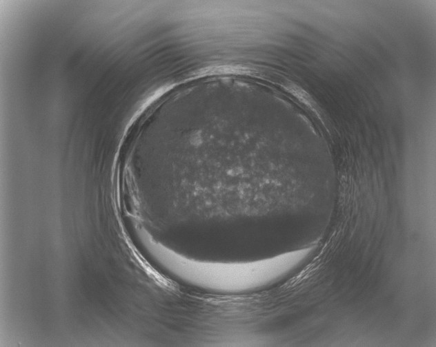 X0000056331127200509232006