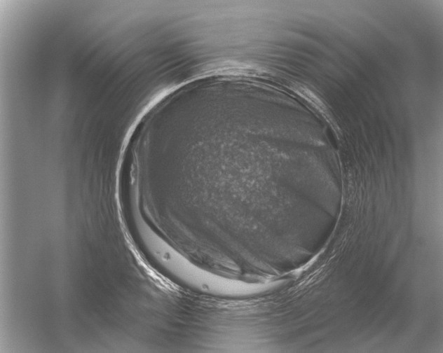 X0000056331128200509232006