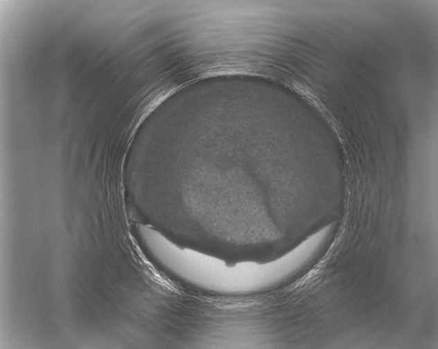 X0000056331129200509232006