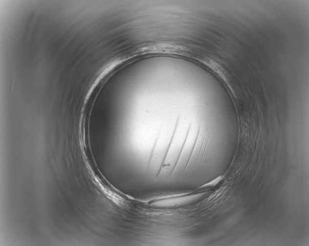 X0000056331131200509232006