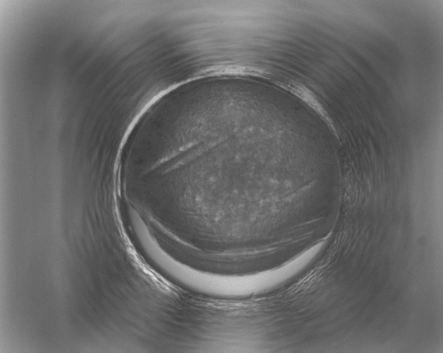 X0000056331132200509232006