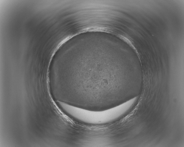 X0000056331133200509232006