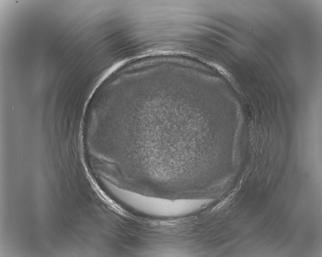 X0000056331134200509232006