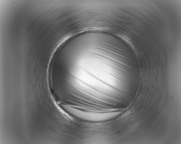 X0000056331135200509232006