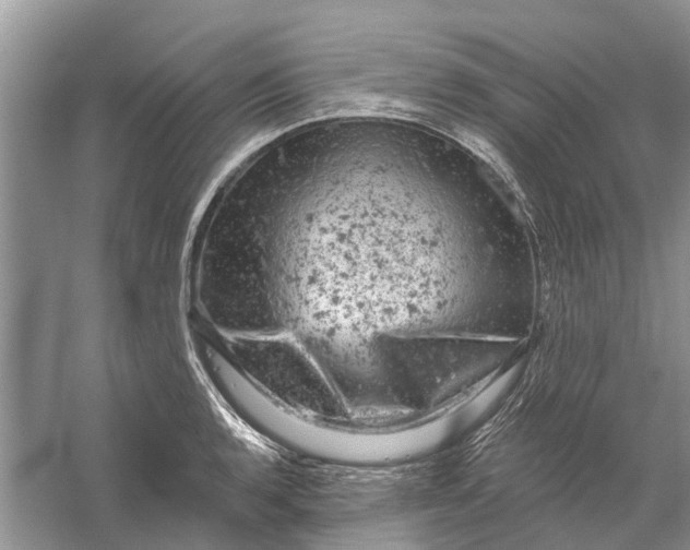 X0000056331136200509232006