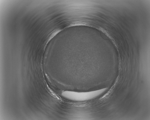 X0000056331137200509232006