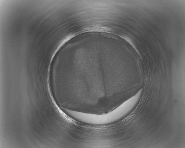 X0000056331139200509232006