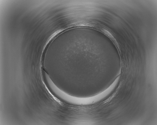 X0000056331141200509232006