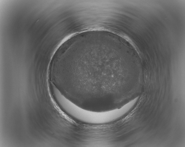 X0000056331142200509232006