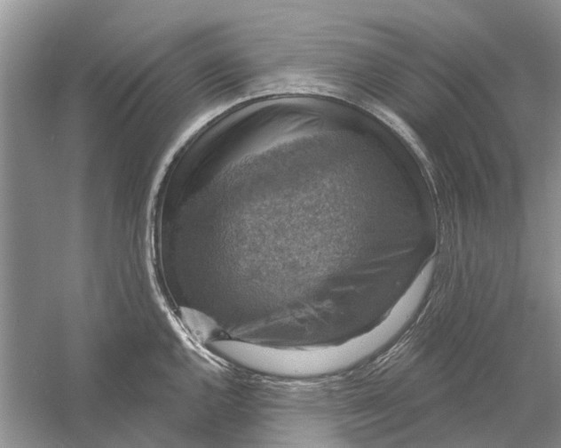 X0000056331144200509232006