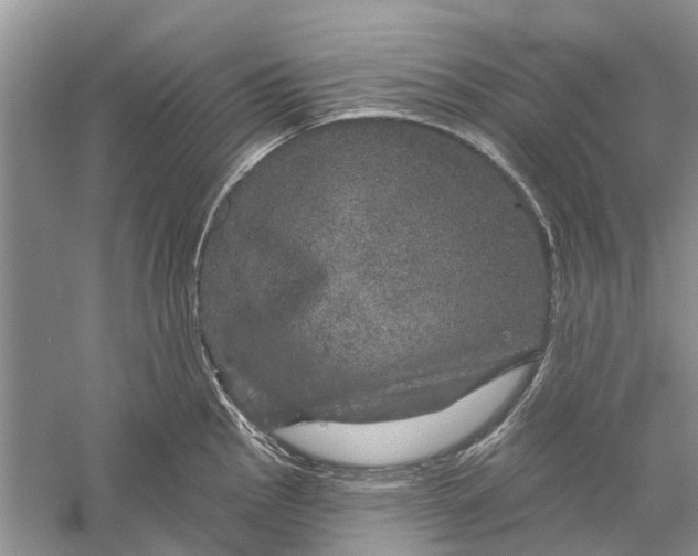 X0000056331145200509232006