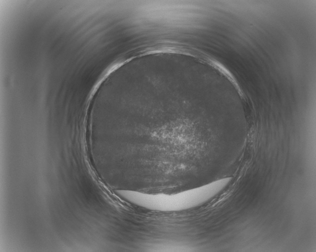 X0000056331146200509232006