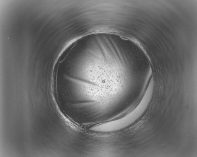 X0000056331147200509232006