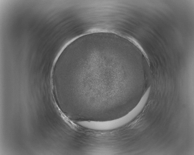 X0000056331148200509232006